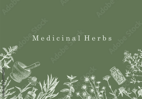 Medical Herbs. Hand-drawn illustration of herbs and objects. Ink. Vector