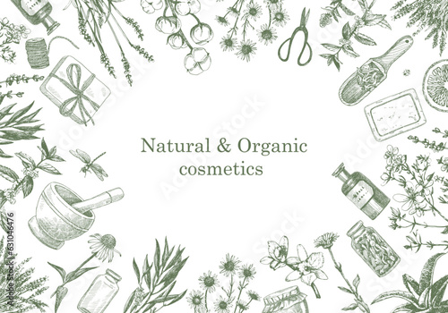 Natural and Organic Cosmetic. Herbs. Hand-drawn illustration of plants and objects. Ink. Vector