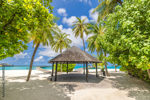Tropical beach coast, Maldives. Pier pathway into tranquil paradise island. Palm tree leaves white sand and blue sea. Relax summer vacation landscape or holiday banner. Beautiful tourism destination