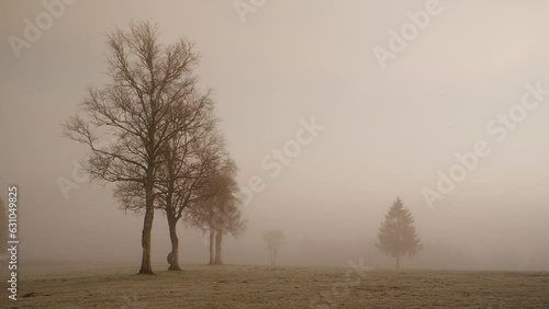 Sumpf Vallée de Joux Frühling Morgen 07 photo