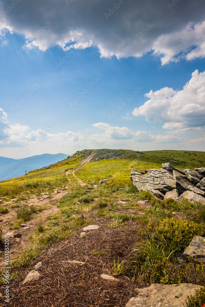 Beautiful view of the Ukrainian mountains Carpathians and valleys.Path and beautiful green mountains in summer with forests and grass. Water-making ridge in the Carpathians, Carpathian mountains