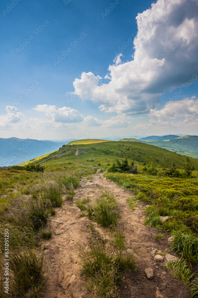 Fototapeta premium Beautiful view of the Ukrainian mountains Carpathians and valleys.Path and beautiful green mountains in summer with forests and grass. Water-making ridge in the Carpathians, Carpathian mountains