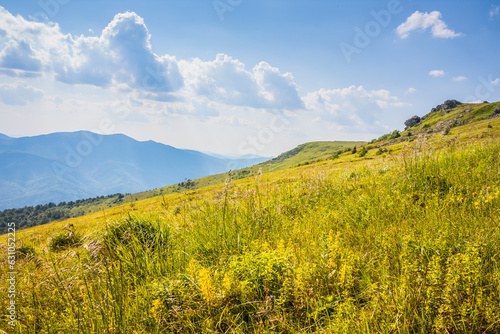 Beautiful view of the Ukrainian mountains Carpathians and valleys.Beautiful green mountains in summer with forests  rocks and grass. Water-making ridge in the Carpathians  Carpathian mountains