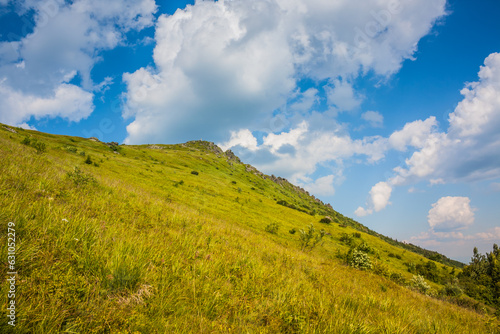View of the peak and slopes of Mount Pikuy. Beautiful green mountains in summer with forests and grass. Water-making ridge in the Carpathians, Carpathian mountains