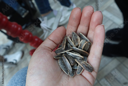 crab in hand, turkish sunflower seed