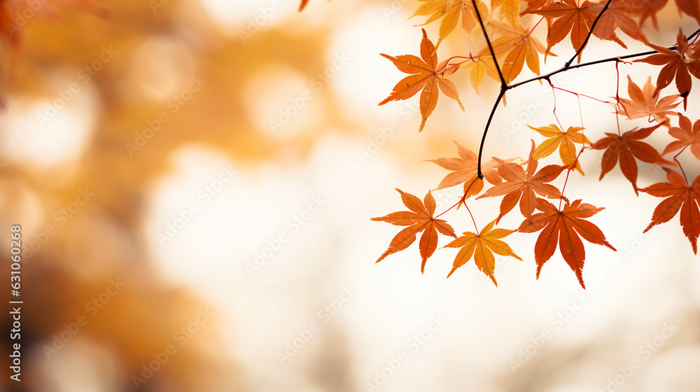 Orange autumn leaves on a tree branch for background
