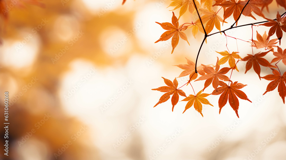Orange autumn leaves on a tree branch for background Orange autumn leaves on a tree branch for background