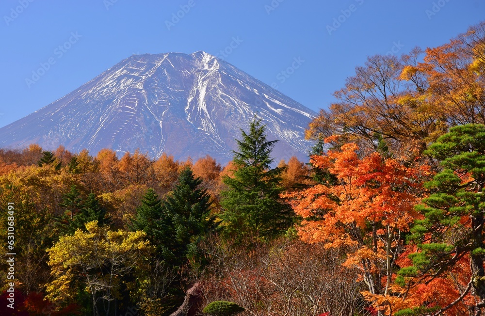 Fototapeta premium 秋の忍野八海より望む富士山