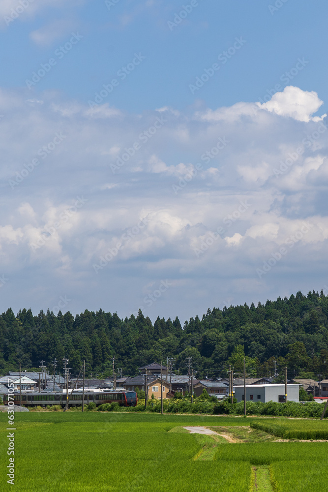 田んぼと列車のある風景 田んぼと列車のある風景