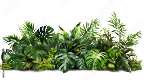 Print op canvas Tropical foliage plant bush (Monstera, palm leaves, Calathea, Cordyline or Hawai