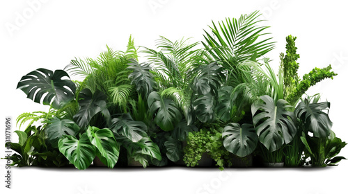 Tropical foliage plant bush (Monstera, palm leaves, Calathea, Cordyline or Hawaiian Ti plant, ferns, and fir) floral arrangement indoors garden nature backdrop made with AI generative technology