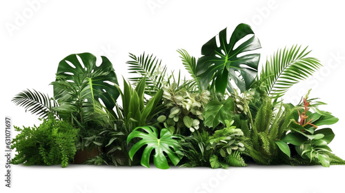 Tropical foliage plant bush (Monstera, palm leaves, Calathea, Cordyline or Hawaiian Ti plant, ferns, and fir) floral arrangement indoors garden nature backdrop made with AI generative technology