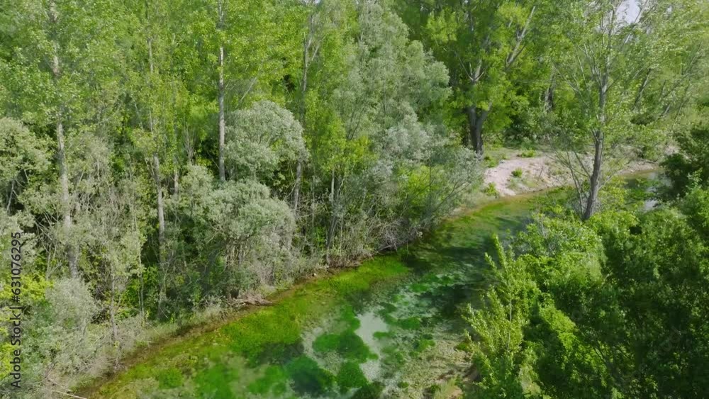 Overgrown Cetina river and green forest in Croatia, rising aerial Overgrown Cetina river and green forest in Croatia, rising aerial