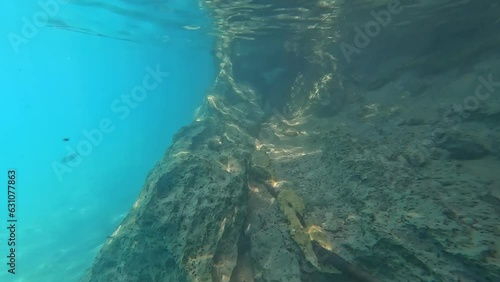 the vibrant turquoise waters of the Gan Hashlosha nature reserve in northern Israel, showcasing the pristine oasis springs flowing through the beautiful limestone landscapes of the popular eco-tourism photo