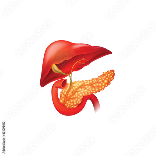 panceres organ vector type icon