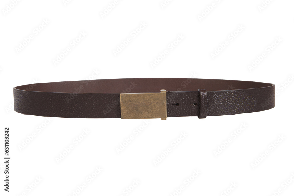Elegant Brown Leather Strap