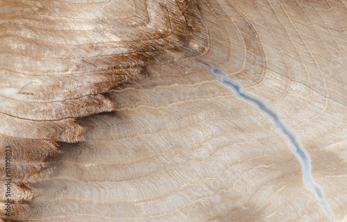 Petrified Spruce photo