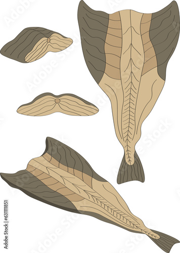 Fish fillet icon set. Bacalhau cod fish portuguese dish. hand drawn vector illustration.