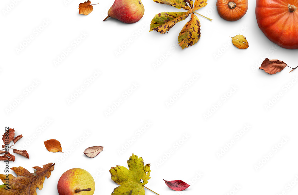 A collection of autumn fall leaves, fruits and pumpkins a forming a border, frame, layout isolated against a transparent background for thanksgiving fall and harvest festivals.