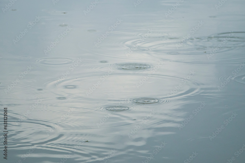 Drops of rain fluctuating in a puddle. Circles in a puddle. Rainy weather. Drops of rain fluctuating in a puddle. Circles in a puddle. Rainy weather.