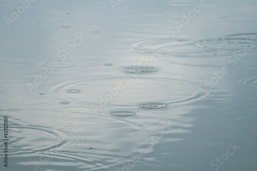Drops of rain fluctuating in a puddle. Circles in a puddle. Rainy weather.