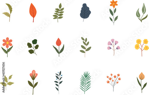 Various colorful hand drawn leaves and flowers set