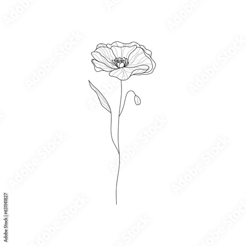 Poppies flower line art. Simple hand drawn poppy blossom, floral doodle, botany sketch for tattoo print. Vector design