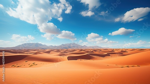 vast expanse of desert