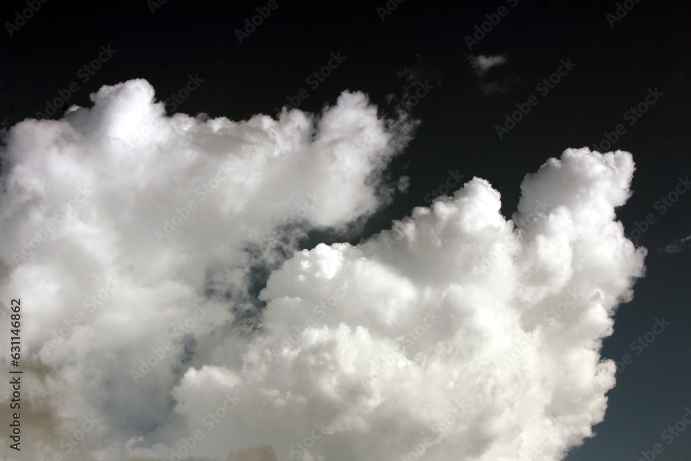 white coluds flying in the sky white coluds flying in the sky