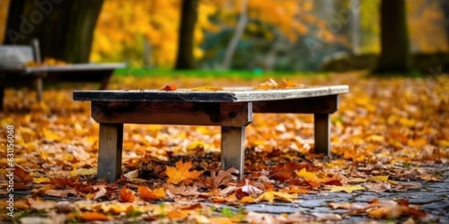 table in the autumn park
