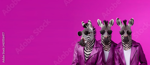 Obraz na plátně A portrait of three funky zebras wearing aviator sunglasses, leather jackets on a seamless magenta background, copy space for text