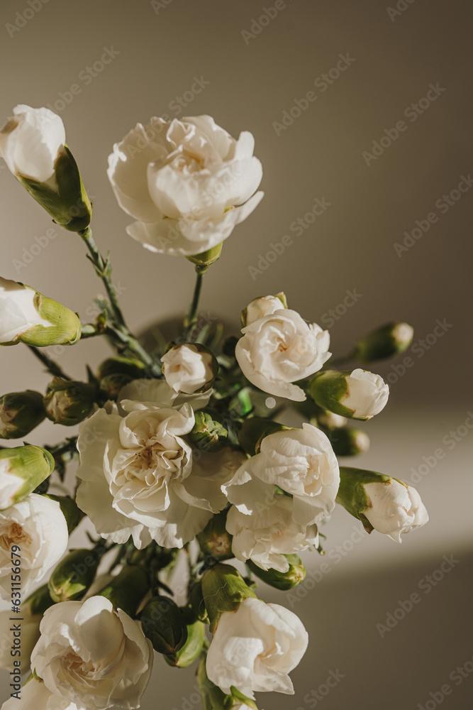 Fototapeta premium Closeup view of carnation flowers bouquet in aesthetic sunlight shadows. Valentine's Day, Mother's Day floral composition