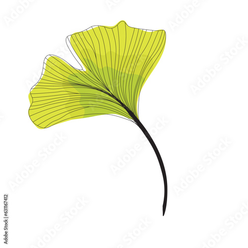 yellow fresh leaf of ginkgo biloba line drawing sketch, outline autumn branch of ginkgo line art