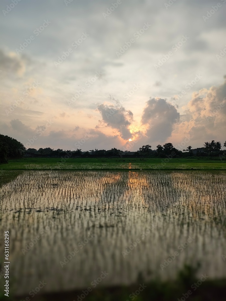 Sunset over farming lands in rain