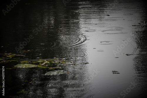 Rain