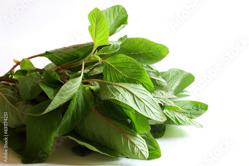 garden fresh green amaranth or indian red stems amaranth vegetable,also known as indian palak,caribbean callaloo,hon toi moi,yin choy, for cooking on white background
