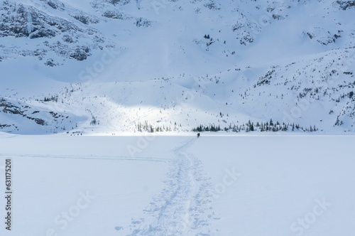 Majestic snow-covered mountain seen through a path with tracks on a sunny day
