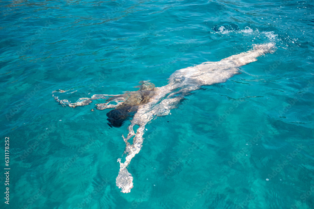 im-urlaub-nackt-im-k-hlen-t-rkisen-meer-schwimmen-stock-photo-adobe