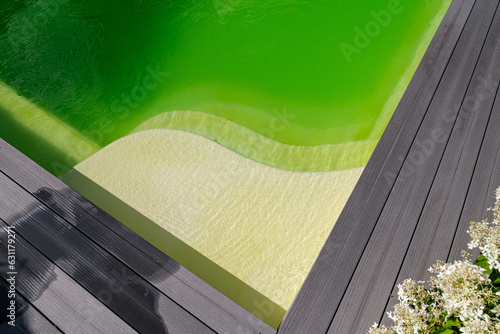 Algen und trübes Wasser im Pool.