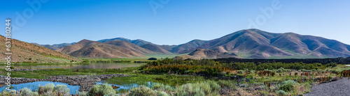 Panorama of Geese on the Little Wood River with the Pioneer Mountains in the Background in July near Richfield, Idaho, USA
