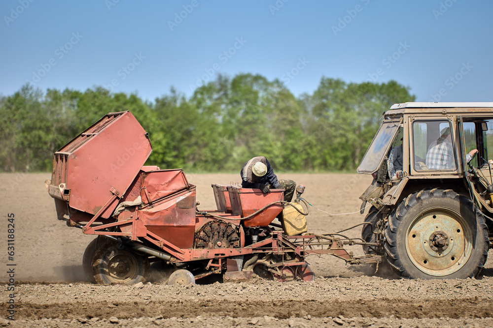 Fototapeta premium Planting potatoes with potato planter hitched to wheeled agricultural tractor.