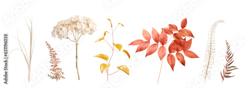 Mix of herbs and plants vector big collection. Cute rustic wedding greenery. Dried beargrass, orange, beige, bleached