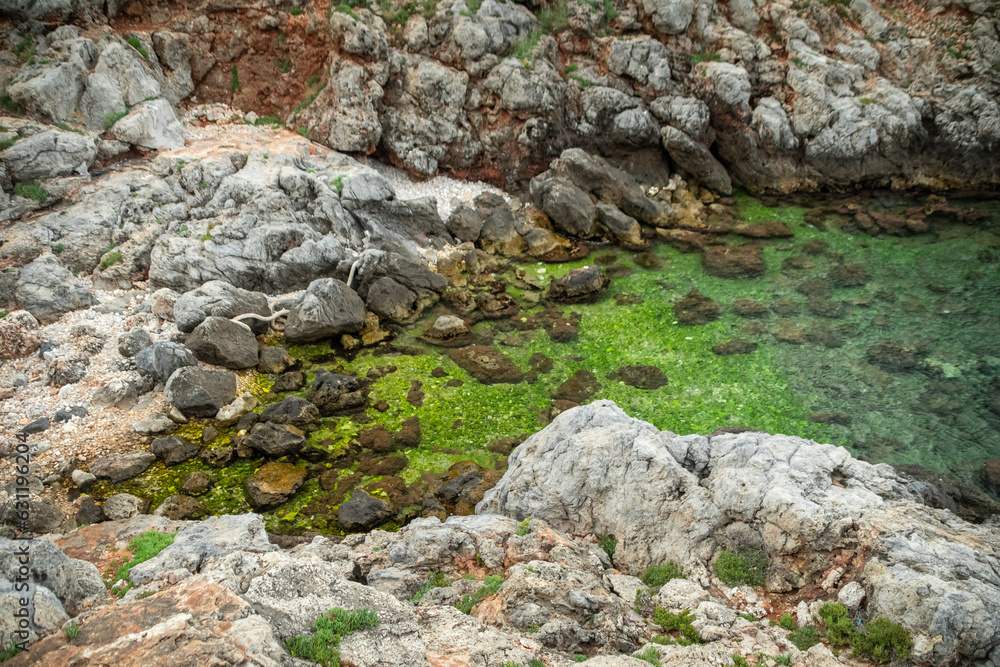 moss on rocks moss on rocks