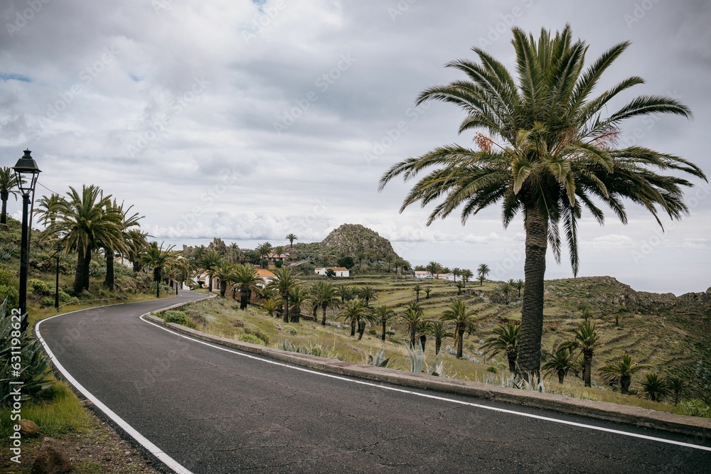 Long road with palm trees and a field below it, La Gomera, Canary Islands, Spain