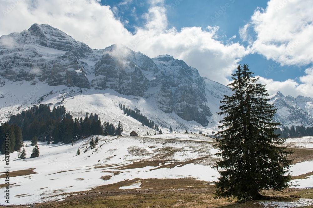 Scenic view of snowy mountains covered with trees in Switzerland Scenic view of snowy mountains covered with trees in Switzerland