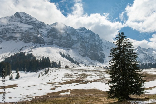 Scenic view of snowy mountains covered with trees in Switzerland