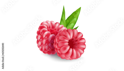 Juicy realistic berry collection of raspberries. Fresh and organic fruits in 3D vector illustration. Perfect for health and food designs. Heap of berries closeup