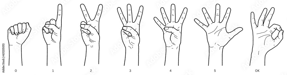 Hands sign 1, 2, 3, 4, 5, ok Hands sign 1, 2, 3, 4, 5, ok