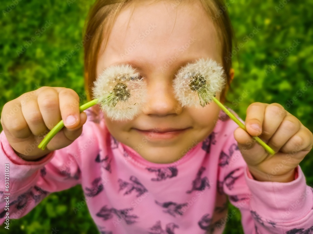 A child with dandelions in front of his eyes. Cute little girl is standing in a pink sweater in a green meadow and holding two ripped dandelions in front of her eyes.