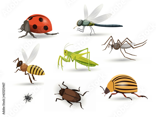 Set of insects concept. Biology and zoology. Bee, grasshopper, ladybug, beetle and dragonfly. Template, layout and mock up. Cartoon flat vector collection isolated on white background